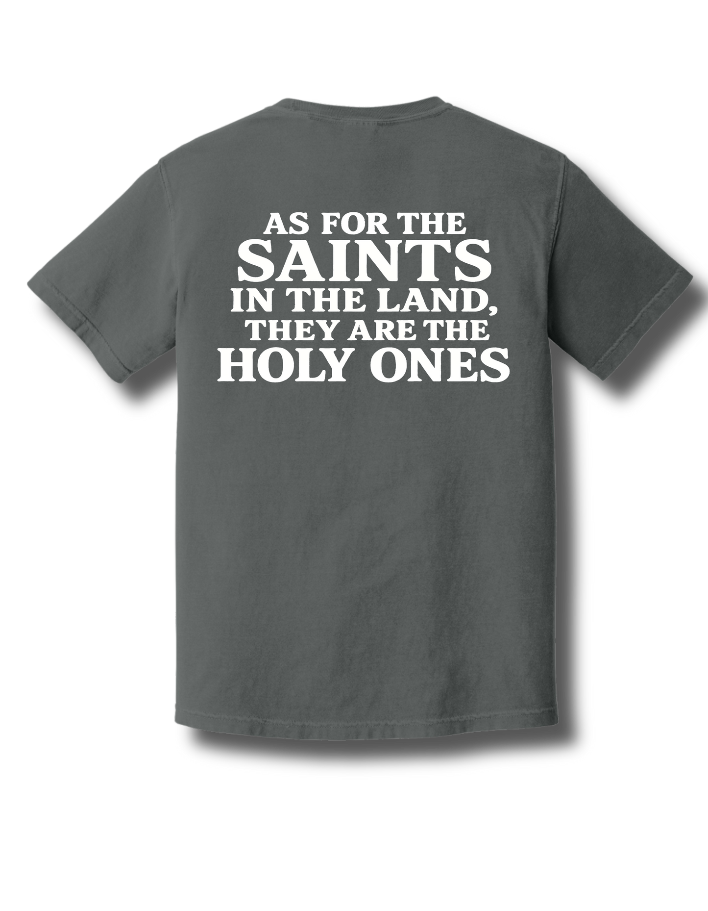 We The Saints tshirts